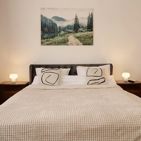 Castle Street Nest Apartment