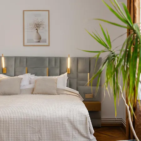 Apartment Castle Street Nest Brasov